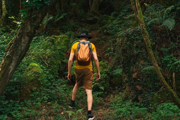 Jungle trekking - choosing a trek