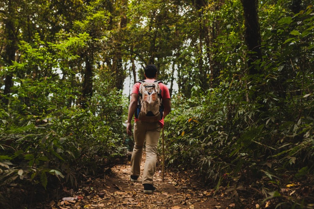 Indonesia Jungle Trek