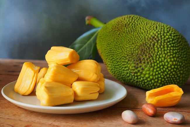 nangka-indonesian fruit