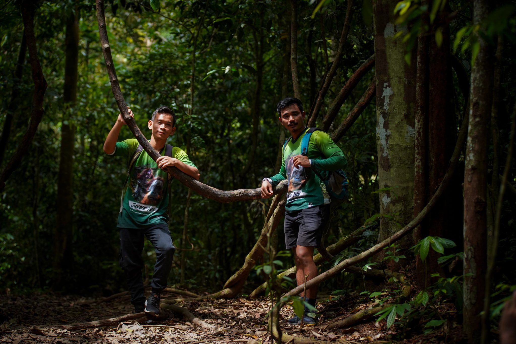 Jungle Trekking in Sumatra